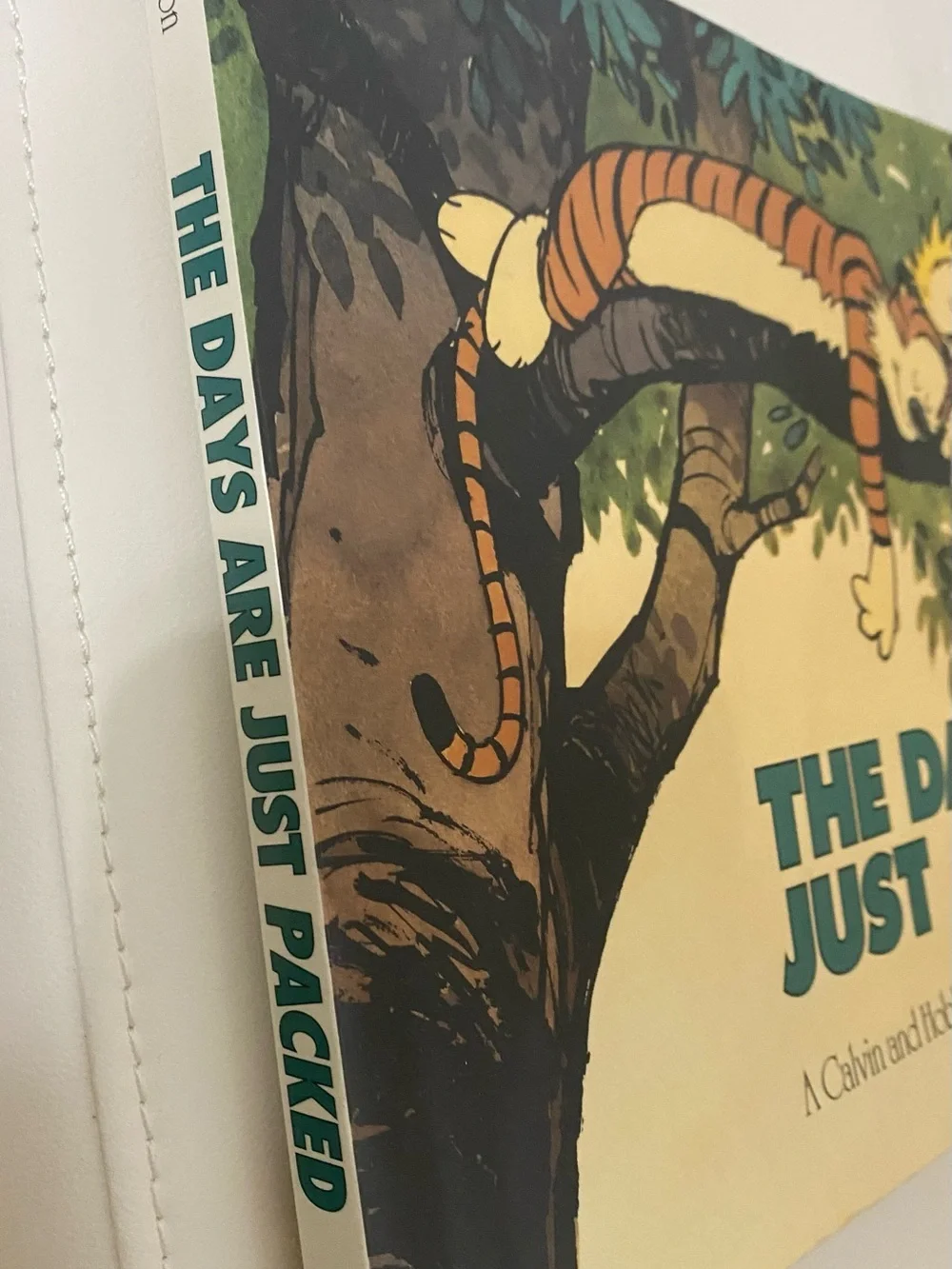 The Days Are Just Packed Calvin and Hobbes Bill Watterson Comic Collection 1993